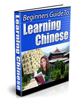 Beginners Guide to Learning Chinese