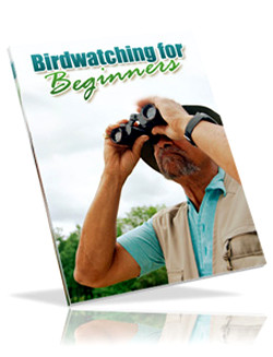 Birdwatching for Beginner