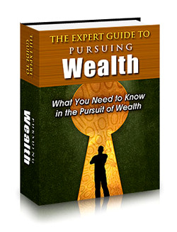 The Expert Guide to Pursuing Wealth
